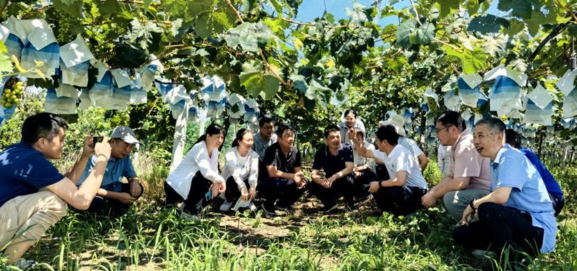 b0ebdc69b18bf5247d6f107f5ec04d98